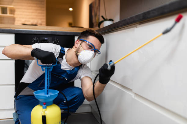 Best Termite Control Services  in Caledonia, MI