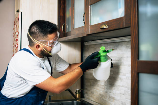 Best Wildlife Control Services  in Caledonia, MI