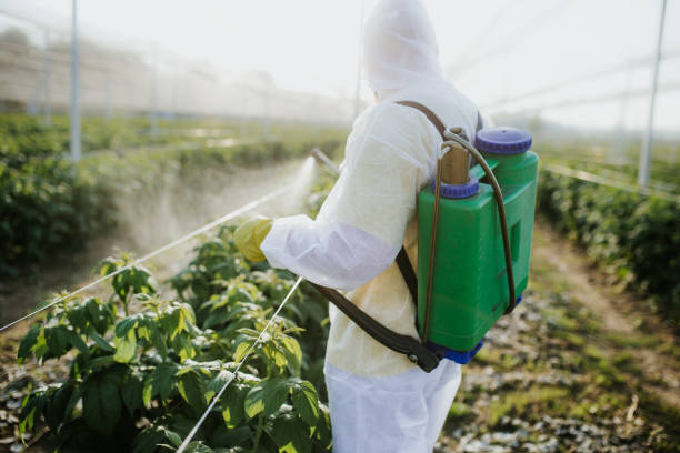 Best Ant Control Services  in Caledonia, MI
